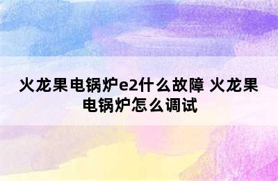 火龙果电锅炉e2什么故障 火龙果电锅炉怎么调试